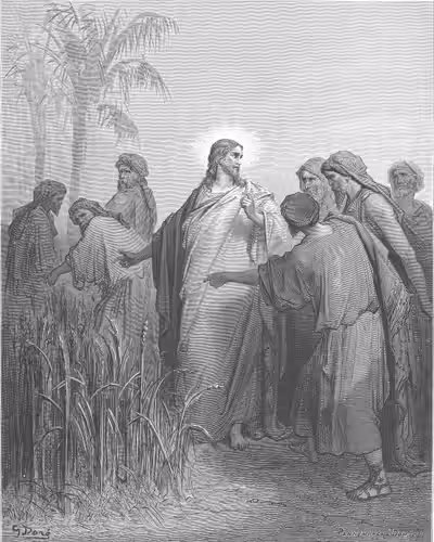 The Disciples Plucking corn on the Sabbath