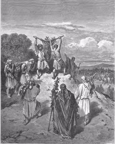 The Spies Return from the Promised Land